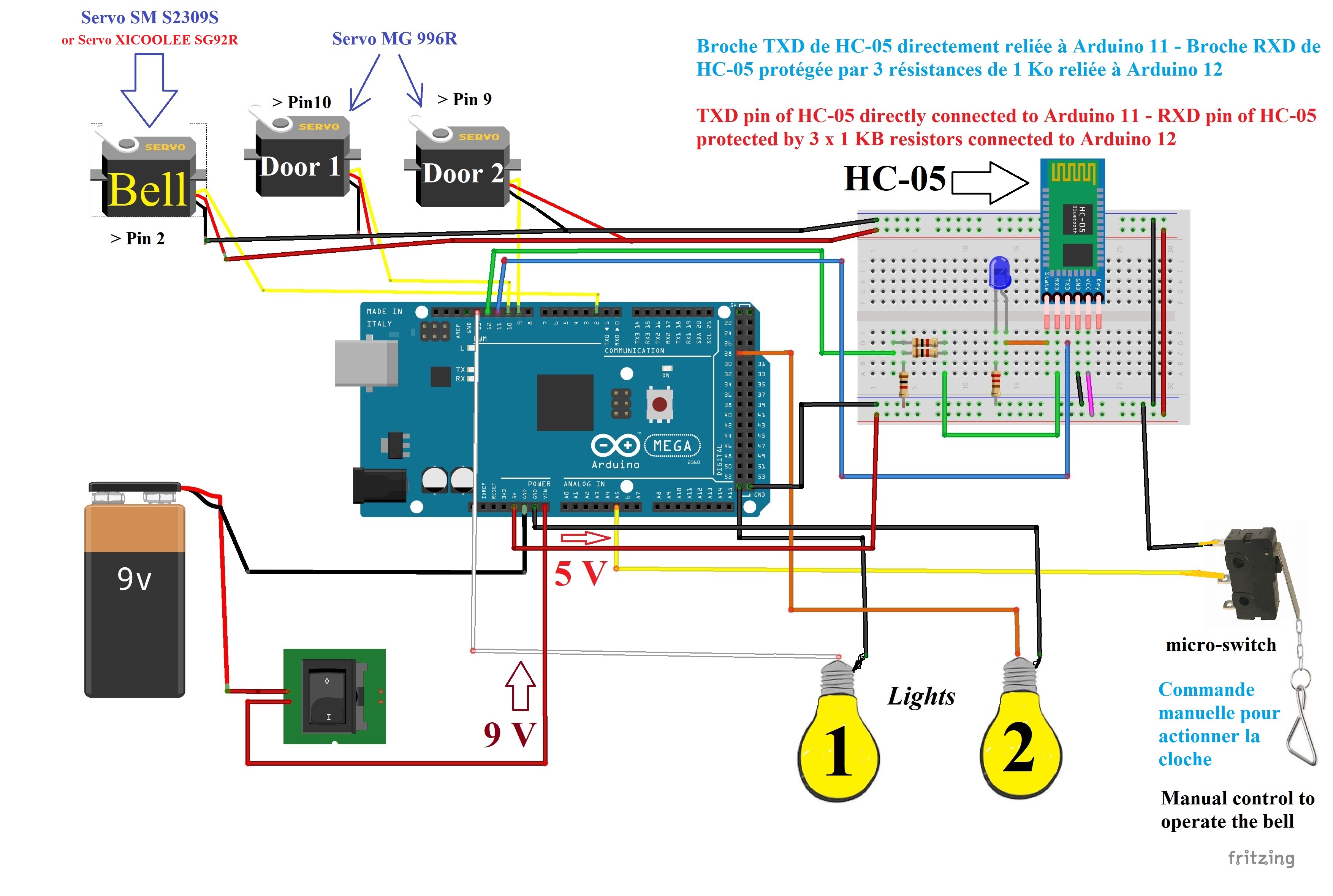Une image contenant intrieur, plante

Description gnre automatiquement