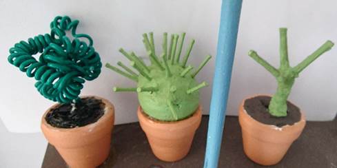 Une image contenant intrieur, plante

Description gnre automatiquement