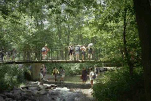 Une image contenant plein air, forêt, eau, Parc d’État

Description générée automatiquement